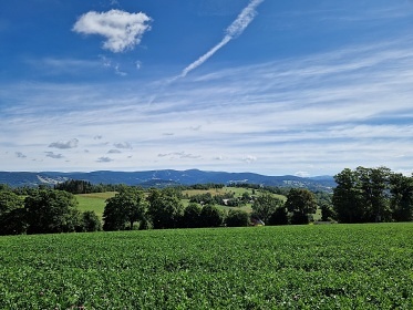 Chalupa s baznem - Horn T - Krkonoe