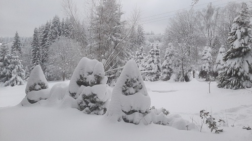 Chalupa Jizersk� hory - p�ehrada Josef�v D�l