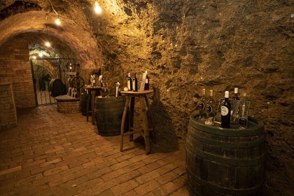 Chalupa s baz�nem - P�lavsk� vrchy - ji�n� Morava