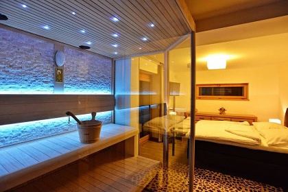 Luxury Wellness Apartment - Rokytnice n. Jiz.