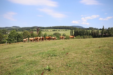 Farm��sk� penzion s baz�nem - Vrchlab� - Krkono�e