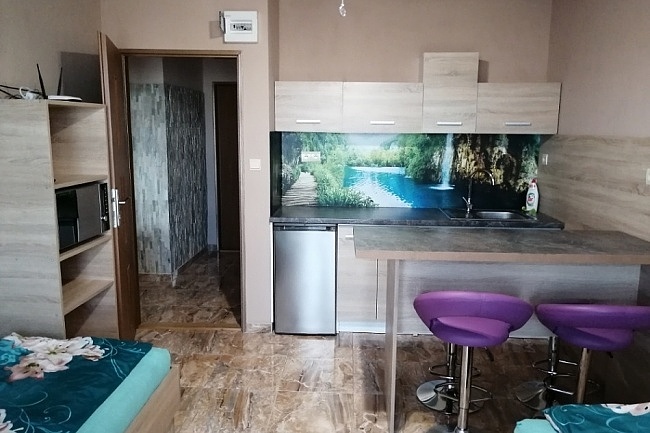 Ubytovn Paso - apartmn Pasohlvky - Plava