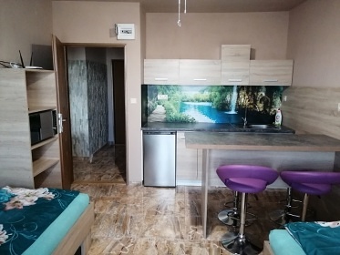 Ubytovn Paso - apartmn Pasohlvky - Plava