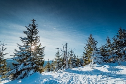 Chata pod Mravenečníkem - Kouty nad Desnou