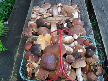 Chata U skřítka - Valašská Bystřice - Beskydy