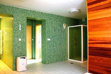 Penzion s wellness - Kru�n� hory - Kl�novec