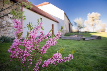 Chalupa Mysletice a sauna - Tel - esk Kanada