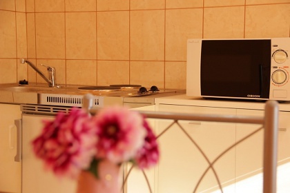Rekreační dům s apartmány - termály Veľký Meder