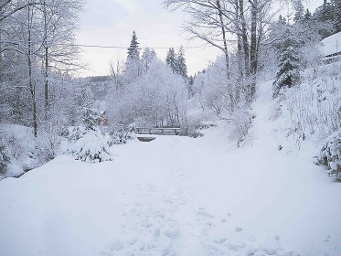 Chalupa se saunou - u ���ky B�l� - �erli�sk� Ml�n