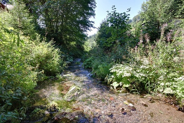 Chalupa se saunou - u ���ky B�l� - �erli�sk� Ml�n