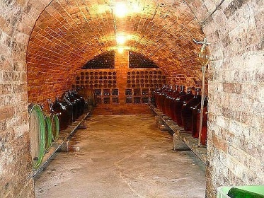 Chalupa a vinn sklep - Mikulick luh - Slovcko