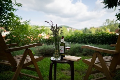 Penzion Hradisko - Bílé Karpaty - Luhačovice