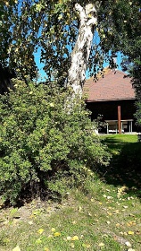 Wellness rekrea�n� d�m - Vysok� Tatry - Ke�marok