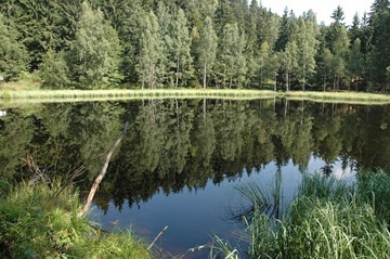 Roubenka Broumovsko - Skály - Adršpach