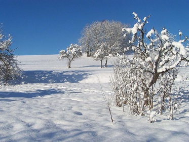 Roubenka Poniklá - pronájem chalupy Krkonoše