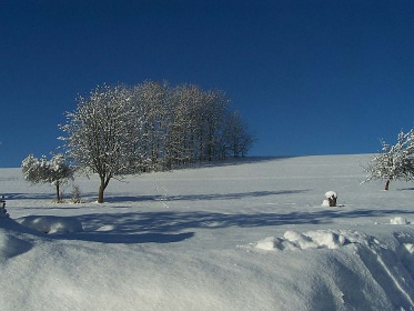 Roubenka Poniklá - pronájem chalupy Krkonoše
