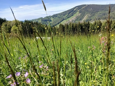 Chalupa Krkonoše - Vrchlabí - Malé Labe