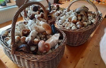 Roubenka Luick hory - Kamenn vrch - hora Lu