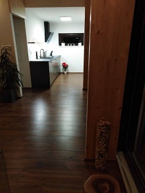 Jupiter wellness - chata Pěnčín - Alšovice