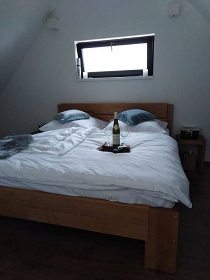 Jupiter wellness - chata Pěnčín - Alšovice