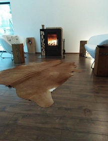 Jupiter wellness - chata Pěnčín - Alšovice