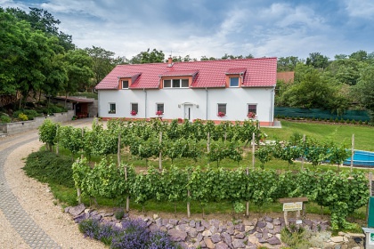 Ubytovn Dyje - penzion s baznem - Znojmo