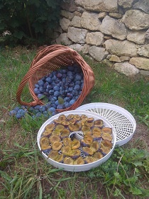 Roubenka Vyso�ina - hrad Svojanov - K�et�nka