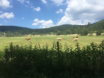 Chata k pronajmutí - Karlovice - Zadní Ves