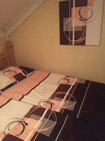 Chata u lesa - Jesen�ky - Vrbno pod Prad�dem