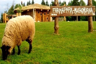 Farmapark Muchomrka - Svoboda nad pou