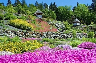 Arboretum Maku Piku - Paseka