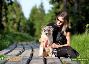 Dovolená se psem – pronájem chalupy se psem za nejlepší ceny